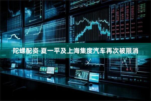 陀螺配资 夏一平及上海集度汽车再次被限消