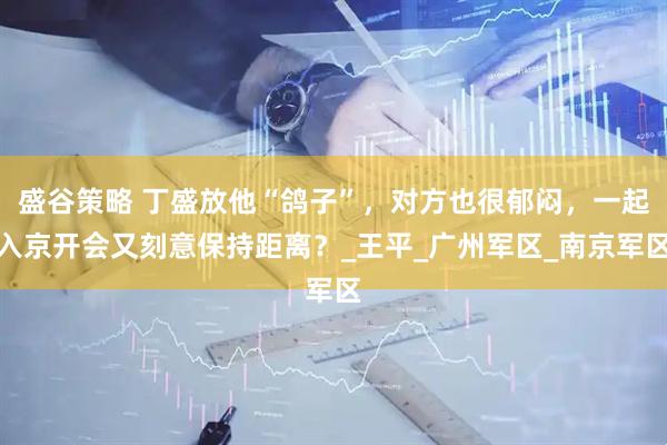 盛谷策略 丁盛放他“鸽子”，对方也很郁闷，一起入京开会又刻意保持距离？_王平_广州军区_南京军区