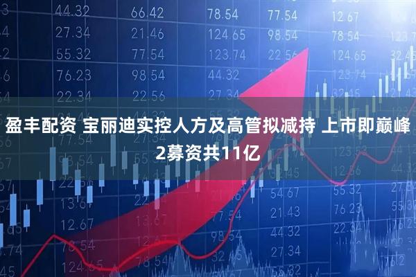 盈丰配资 宝丽迪实控人方及高管拟减持 上市即巅峰2募资共11亿