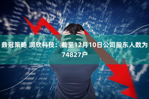 鼎冠策略 润欣科技：截至12月10日公司股东人数为74827户