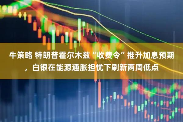 牛策略 特朗普霍尔木兹“收费令”推升加息预期，白银在能源通胀担忧下刷新两周低点